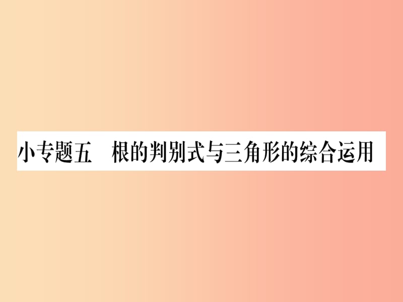 2019秋九年级数学上册 第22章 一元二次方程 小专题（5）作业课件华东师大版.ppt_第1页