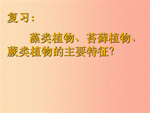 陜西省七年級(jí)生物上冊(cè) 3.1.2種子植物課件 新人教版.ppt