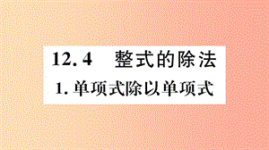 八年級數(shù)學上冊 第12章 整式的乘除 12.4 整式的除法 12.4.1 單項式除以單項式習題課件 華東師大版.ppt