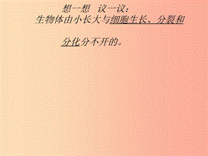 吉林省七年級生物上冊 2.2.2 動(dòng)物體的結(jié)構(gòu)層次課件 新人教版.ppt