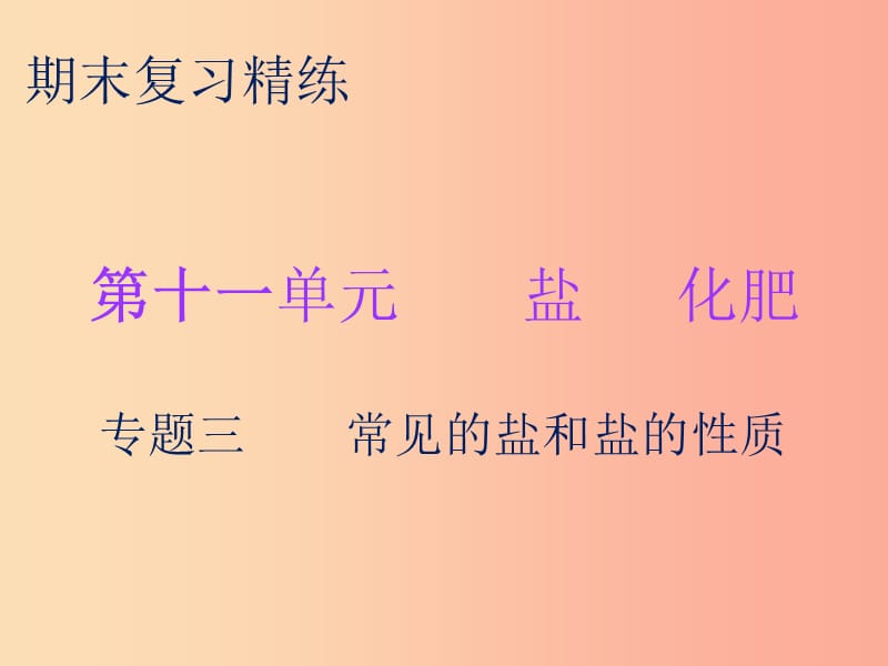 2019秋九年级化学下册 期末复习精炼 第十一单元 盐 化肥 专题三 常见的盐和盐的性质课件 新人教版.ppt_第1页