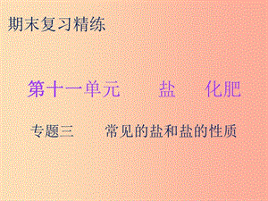 2019秋九年級化學(xué)下冊 期末復(fù)習(xí)精煉 第十一單元 鹽 化肥 專題三 常見的鹽和鹽的性質(zhì)課件 新人教版.ppt