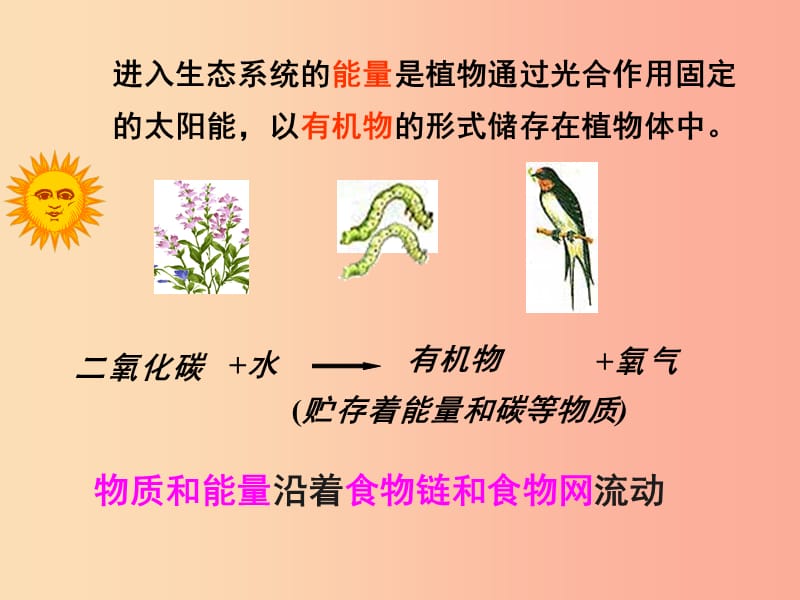 吉林省长春市七年级生物上册 第一单元 第二章 第三节《生物圈是最大的生态系统》参考课件2 新人教版.ppt_第3页