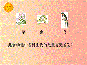 吉林省長春市七年級生物上冊 第一單元 第二章 第三節(jié)《生物圈是最大的生態(tài)系統(tǒng)》參考課件2 新人教版.ppt