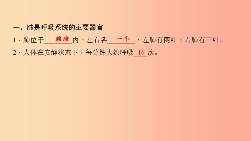 七年级生物下册第四单元第三章第二节发生在肺内的气体交换第1课时肺与外界的气体交换习题课件 新人教版.ppt_第2页