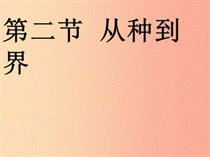 八年級生物上冊 6.1.2《從種到界》課件4 新人教版.ppt