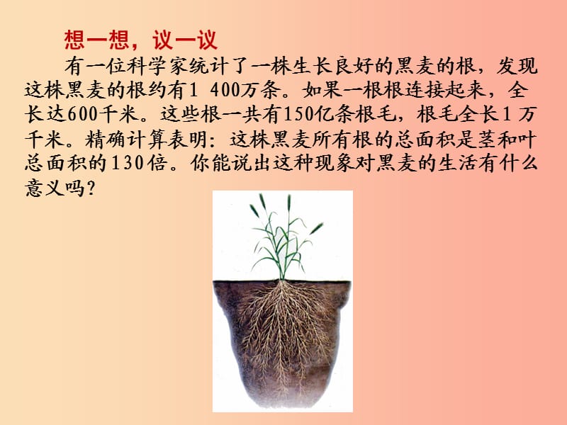 福建省七年级生物上册 第三单元 第二章 第二节 植株的生长课件 新人教版.ppt_第3页