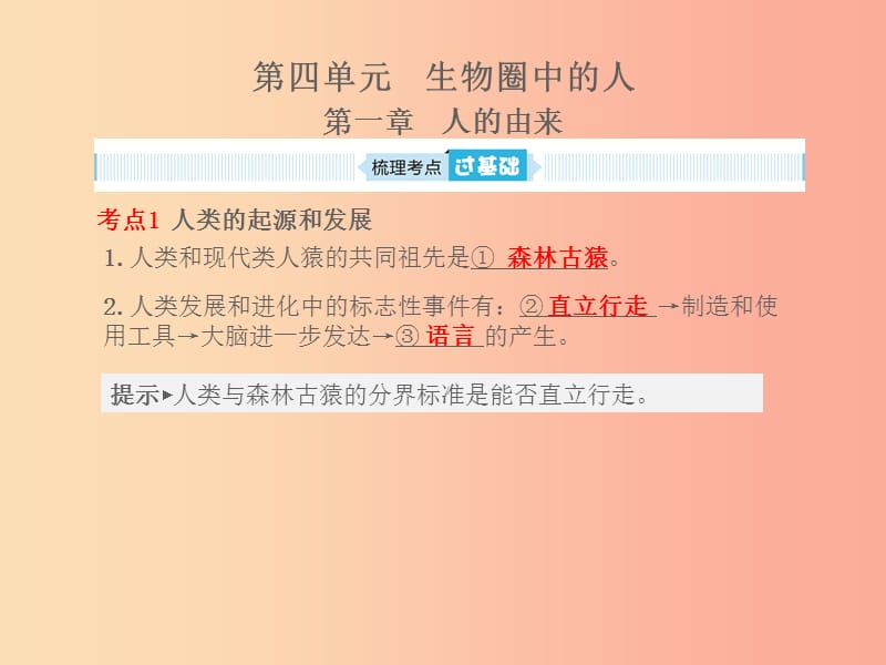 聊城专版山东省2019年中考生物总复习第四单元生物圈中的人第一章人的由来课件.ppt_第1页