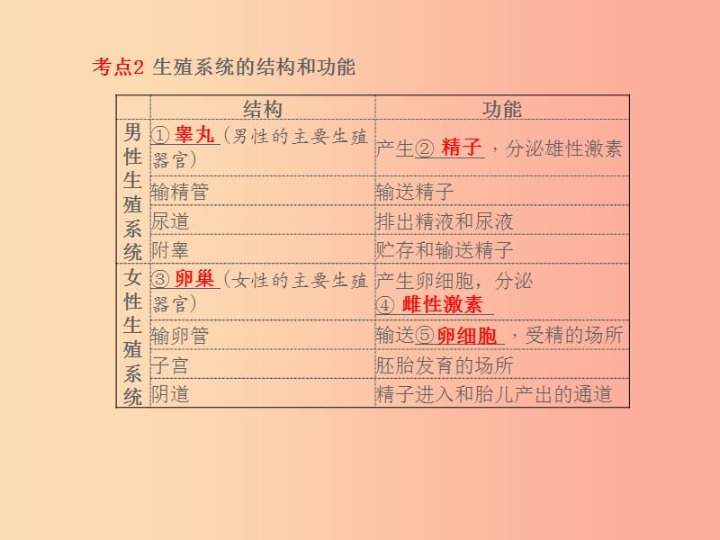 聊城专版山东省2019年中考生物总复习第四单元生物圈中的人第一章人的由来课件.ppt_第2页