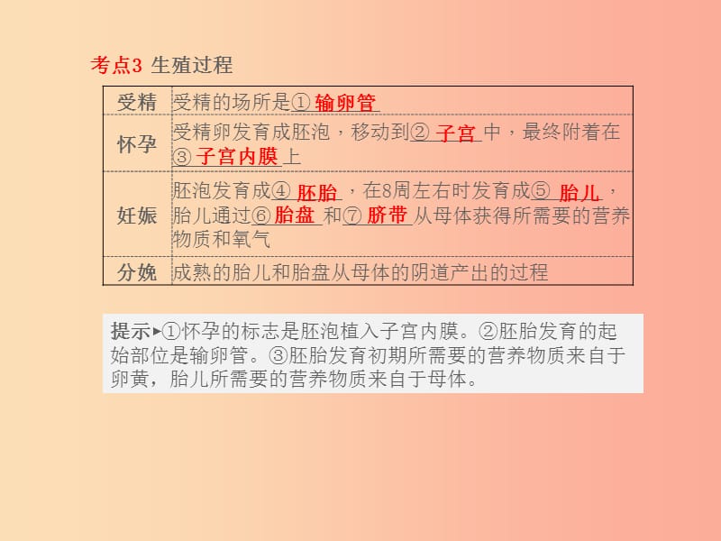 聊城专版山东省2019年中考生物总复习第四单元生物圈中的人第一章人的由来课件.ppt_第3页