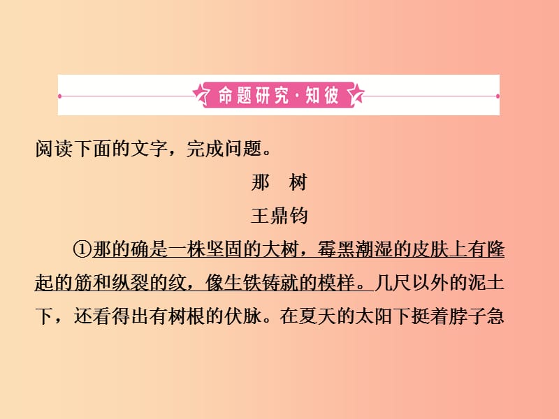 （菏泽专版）2019中考语文 专题复习五（课时1）课件.ppt_第3页