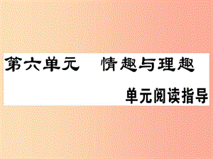 （安徽專版）2019春八年級(jí)語文下冊(cè) 第六單元閱讀指導(dǎo)習(xí)題課件 新人教版.ppt