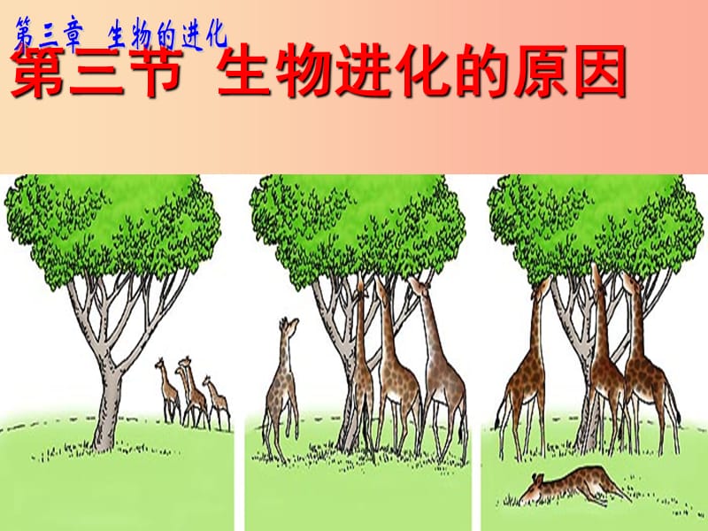 河南省八年级生物下册 7.3.3 生物进化的原因课件 新人教版.ppt_第1页