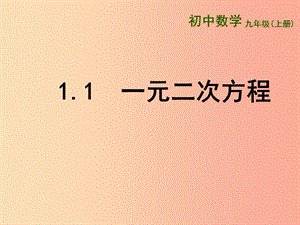 江蘇省九年級(jí)數(shù)學(xué)上冊(cè) 第1章 一元二次方程 1.1 一元二次方程課件（新版）蘇科版.ppt