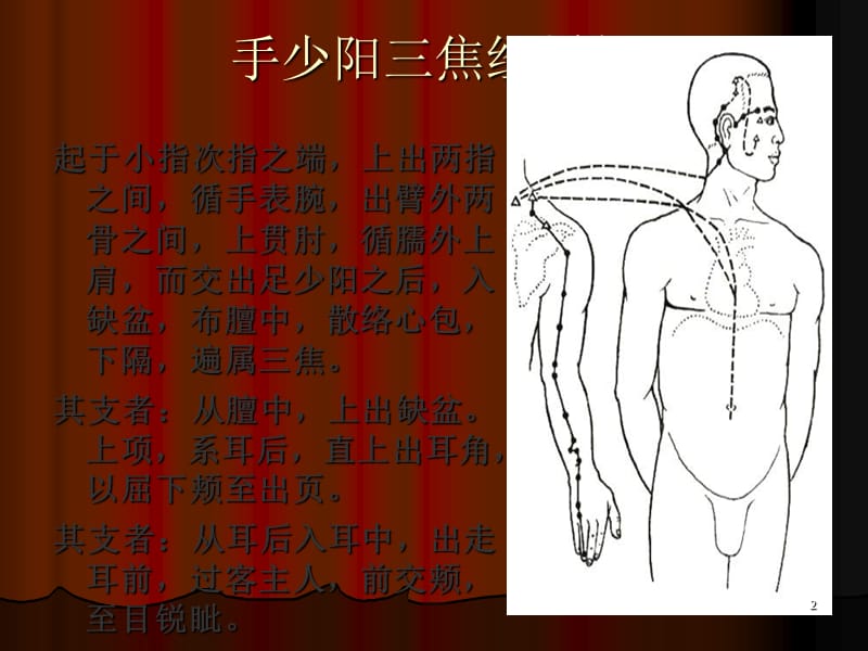 医学文库网经络腧穴学手少阳三焦经ppt课件_第2页