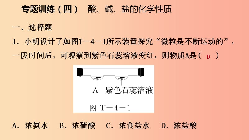 九年级化学下册第八章常见的酸碱盐专题训练四酸碱盐的化学性质同步练习课件新版粤教版.ppt_第2页