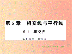 2019秋七年級數(shù)學(xué)上冊 第5章 相交線與平行線 5.1 相交線 第1課時 對頂角習(xí)題課件（新版）華東師大版.ppt