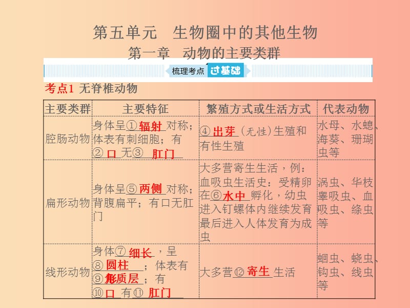 （聊城專版）山東省2019年中考生物總復(fù)習(xí) 第五單元 生物圈中的其他生物 第一章 動(dòng)物的主要類群課件.ppt_第1頁