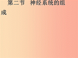 吉林省七年級(jí)生物下冊(cè) 4.6.2 神經(jīng)系統(tǒng)的組成課件 新人教版.ppt