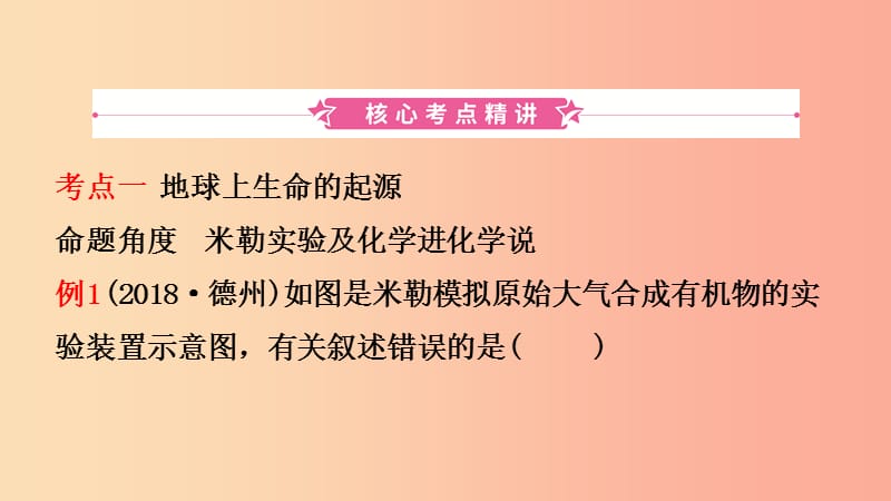 山东省2019年中考生物总复习 第七单元 生物圈中生命的延续和发展 第三章 生命起源和生物进化课件.ppt_第2页