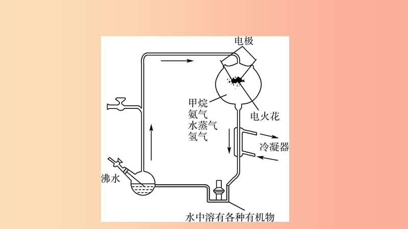 山东省2019年中考生物总复习 第七单元 生物圈中生命的延续和发展 第三章 生命起源和生物进化课件.ppt_第3页