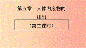 七年級(jí)生物下冊(cè) 4.5《人體內(nèi)廢物的排出》第二課時(shí)預(yù)習(xí)課件 新人教版.ppt