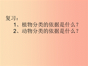 吉林省通化市八年級(jí)生物上冊(cè) 6.1.2從種到界課件 新人教版.ppt