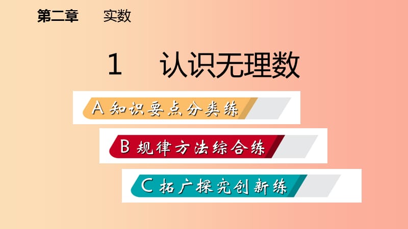 八年级数学上册第二章实数2.1认识无理数同步练习课件（新版）北师大版.ppt_第2页