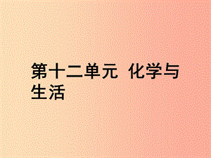 安徽省2019年中考化學(xué)總復(fù)習(xí) 第一部分 夯實(shí)基礎(chǔ)過(guò)教材 第十二單元 化學(xué)與生活課件.ppt