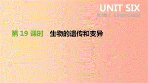 內(nèi)蒙古包頭市2019年中考生物 第六單元 生命的延續(xù)和發(fā)展 第19課時 生物的遺傳和變異復(fù)習(xí)課件.ppt