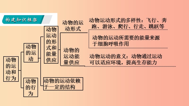 八年级生物上册 第6单元 动物的运动和行为复习课件 （新版）苏教版.ppt_第2页