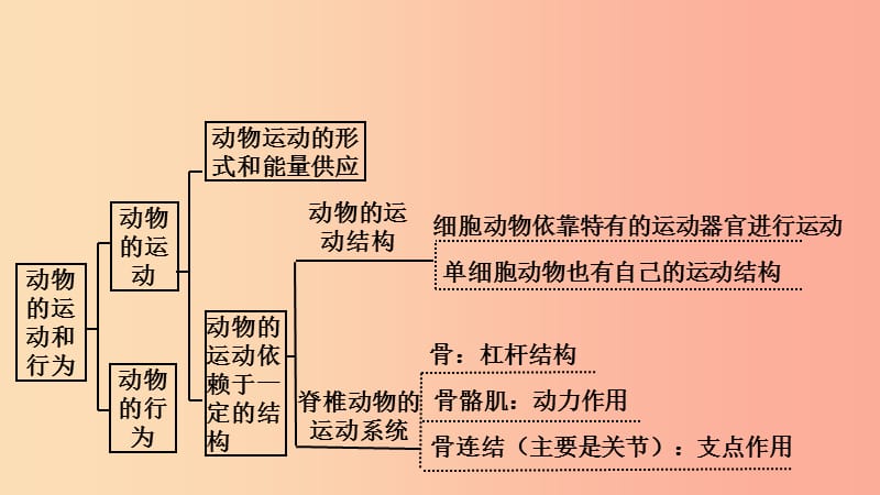 八年级生物上册 第6单元 动物的运动和行为复习课件 （新版）苏教版.ppt_第3页