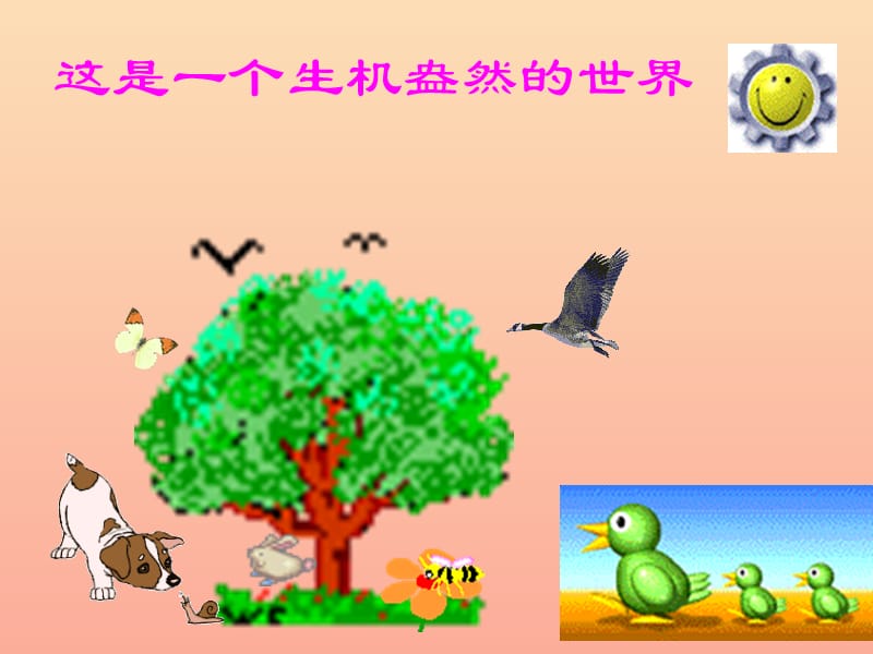 吉林省通化市八年級生物上冊 5.3動物在生物圈中的作用課件 新人教版.ppt_第1頁