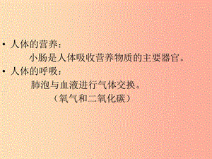 吉林省七年級生物下冊 4.4.1 流動的組織---血液課件 新人教版.ppt