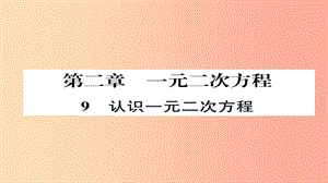 2019年秋九年級(jí)數(shù)學(xué)上冊(cè) 第二章 一元二次方程 1 認(rèn)識(shí)一元二次方程（練習(xí)手冊(cè)）課件（新版）北師大版.ppt