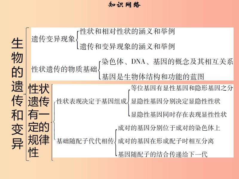 八年级生物上册第六单元第20章生物的遗传和变异章末小结习题课件（新版）北师大版.ppt_第2页