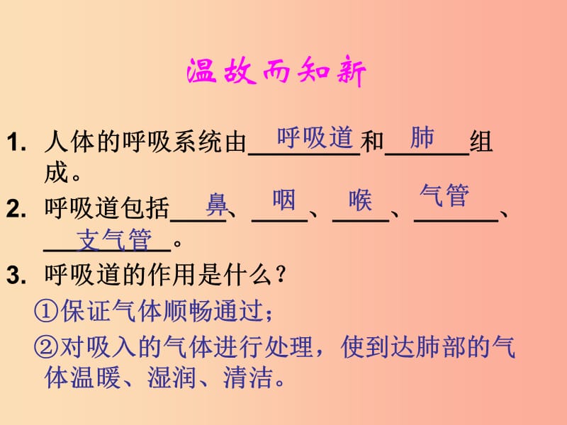 七年级生物下册 4.3.2 发生在肺内的气体交换课件1 新人教版.ppt_第2页