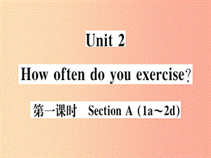 （黃岡專用）八年級(jí)英語上冊(cè) Unit 2 How often do you rcise（第1課時(shí)）課件 新人教版.ppt