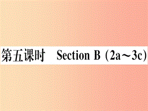 （玉林專版）2019秋七年級英語上冊 Unit 5 Do you have a soccer ball（第5課時）新人教 新目標(biāo)版.ppt