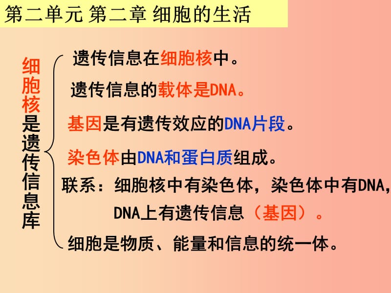 广东省汕头市七年级生物上册 期末复习课件 新人教版.ppt_第1页