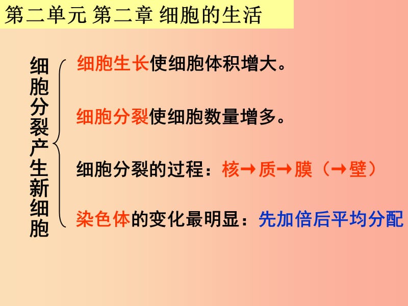 广东省汕头市七年级生物上册 期末复习课件 新人教版.ppt_第2页