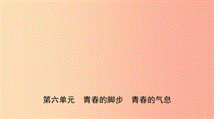 山東省2019年中考道德與法治總復習 六上 第六單元 青春的腳步 青春的氣息課件.ppt