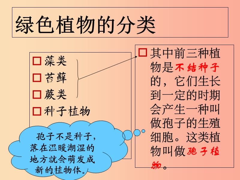 陕西省七年级生物上册 3.1.1藻类、苔藓和蕨类植物课件2 新人教版.ppt_第3页