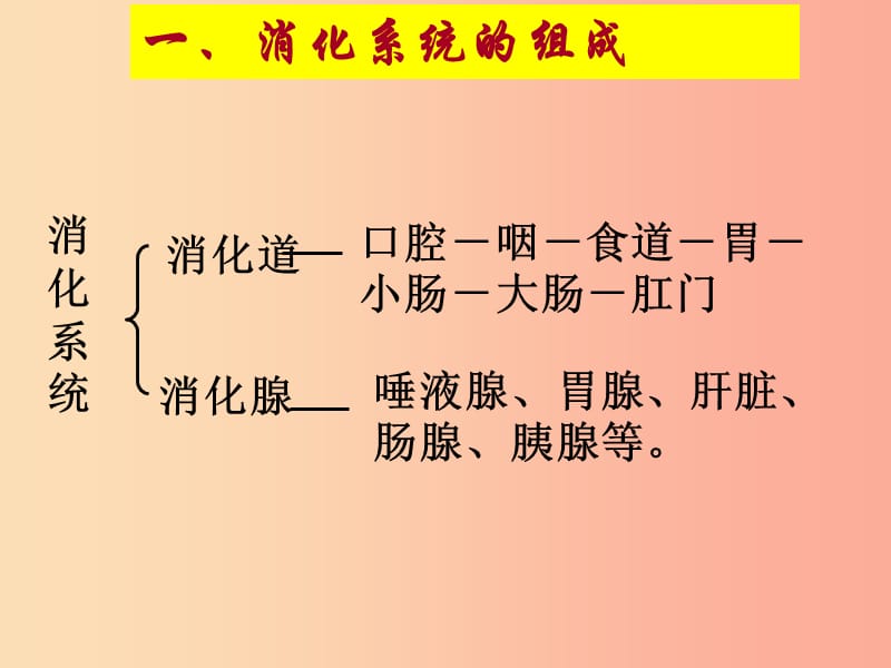 内蒙古鄂尔多斯市达拉特旗七年级生物下册 4.2.2消化和吸收（第2课时）课件 新人教版.ppt_第2页