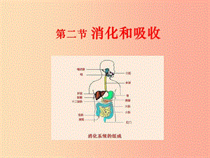 內(nèi)蒙古鄂爾多斯市達(dá)拉特旗七年級生物下冊 4.2.2消化和吸收（第2課時）課件 新人教版.ppt