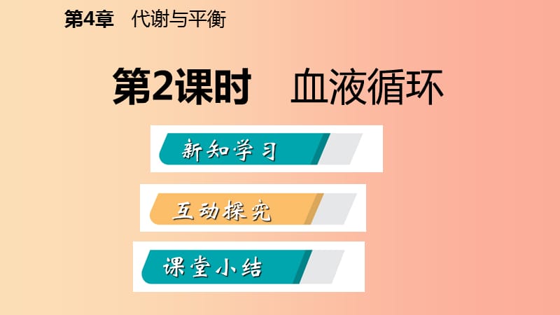 2019年秋九年级科学上册第4章代谢与平衡第3节体内物质的运输第2课时血液循环课件新版浙教版.ppt_第2页