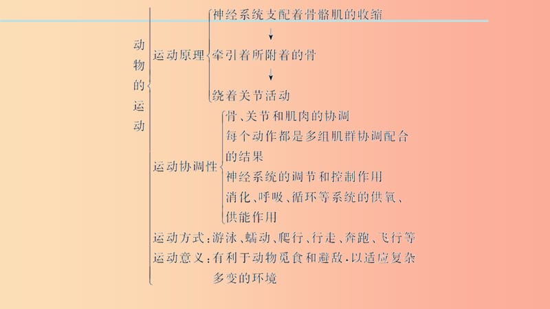 八年级生物上册第五单元生物圈中的其他生物复习二(第二_三章)习题课件 新人教版.ppt_第3页