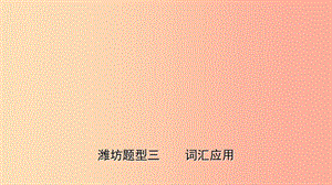 山東省2019年中考英語(yǔ)題型專項(xiàng)復(fù)習(xí) 題型三 詞匯運(yùn)用課件.ppt