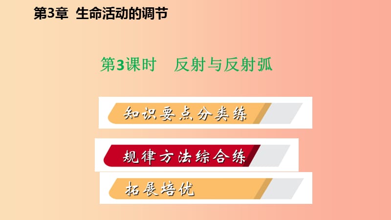 八年级科学上册 第3章 生命活动的调节 3.3 神经调节 3.3.3 反射与反射弧练习课件 （新版）浙教版.ppt_第2页