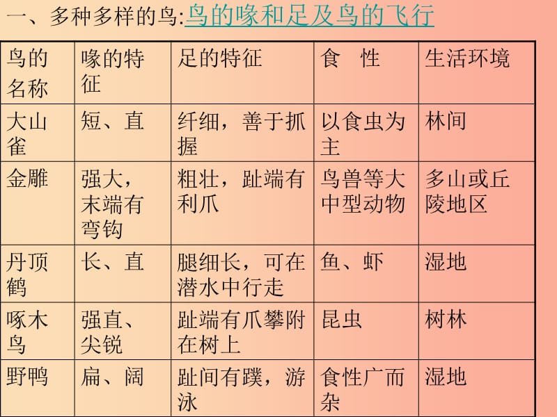 吉林省八年级生物上册 5.1.6 鸟课件 新人教版.ppt_第3页